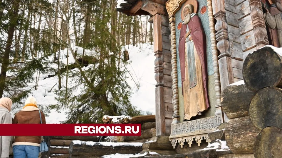 Фото: Дмитрий Зайчиков