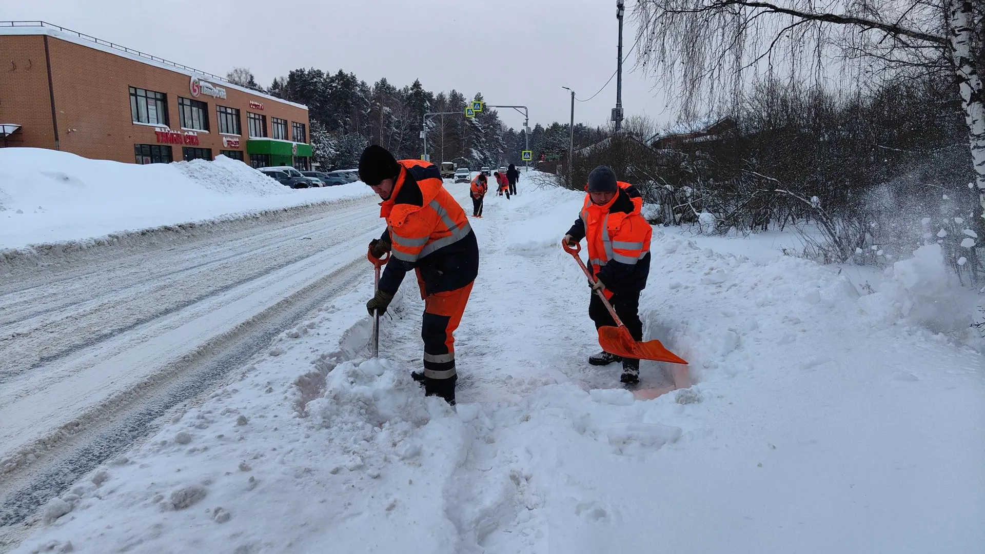 Елена Катасонова