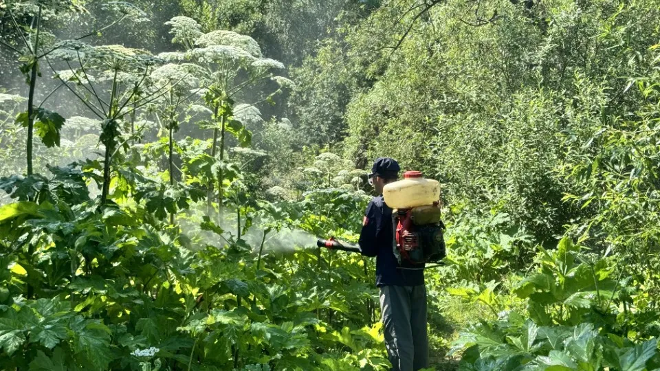 Фото: МедиаБанк Подмосковья/Татьяна Рунова