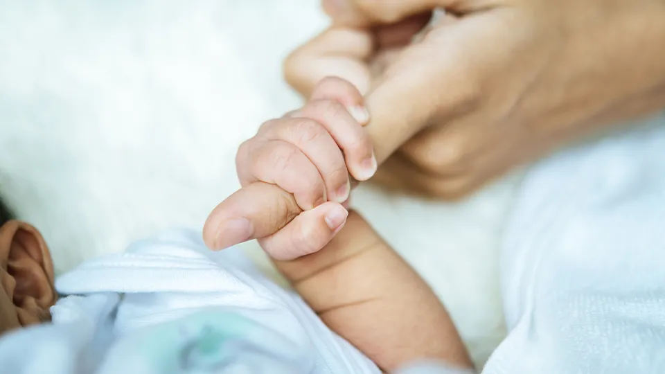 Фото: freepik.com