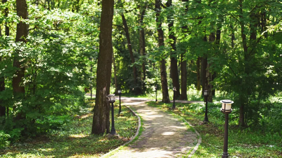 Фото: пресс-служба администрации г.о. Химки