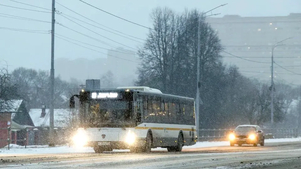 Фото: пресс-служба губернатора и правительства Московской области