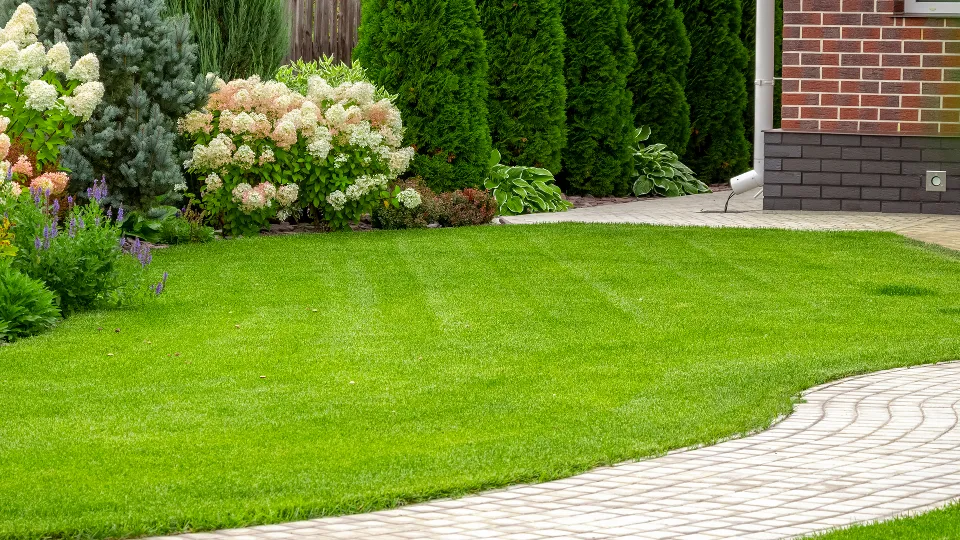 Фото: istockphoto.com