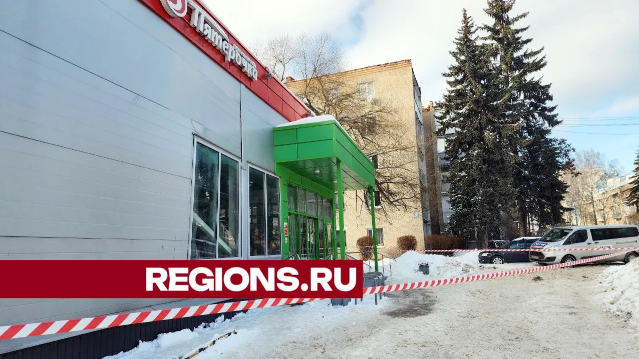 фото: Ксения Пашуто