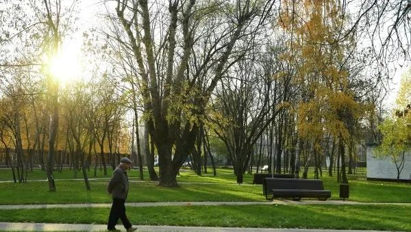 Четыре новых парка создадут в Московской области в 2020 году