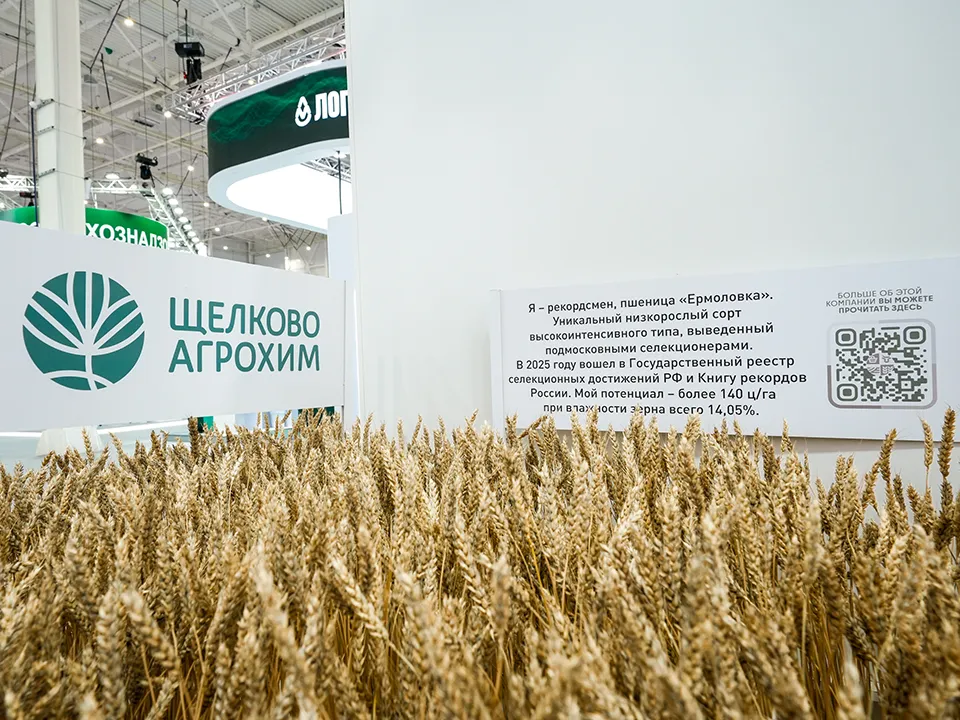 Фото: пресс-служба губернатора и правительства Московской области/Александра Степанова