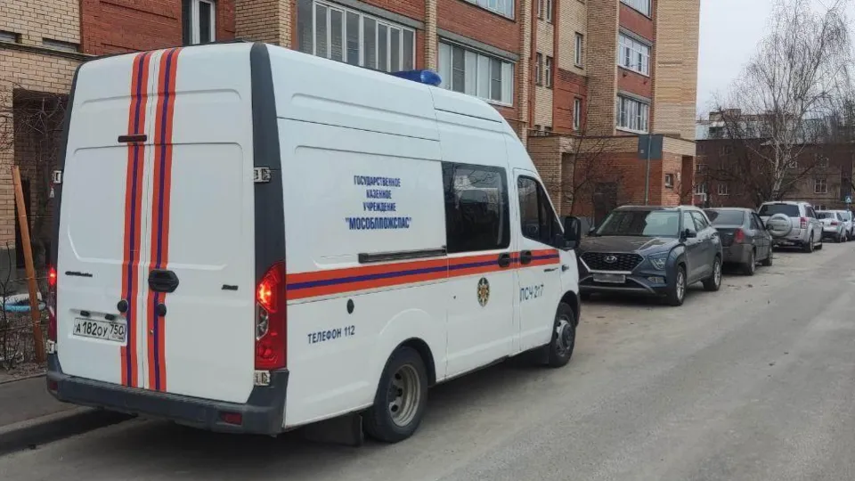 Фото: ГКУ МО «Мособлпожспас»