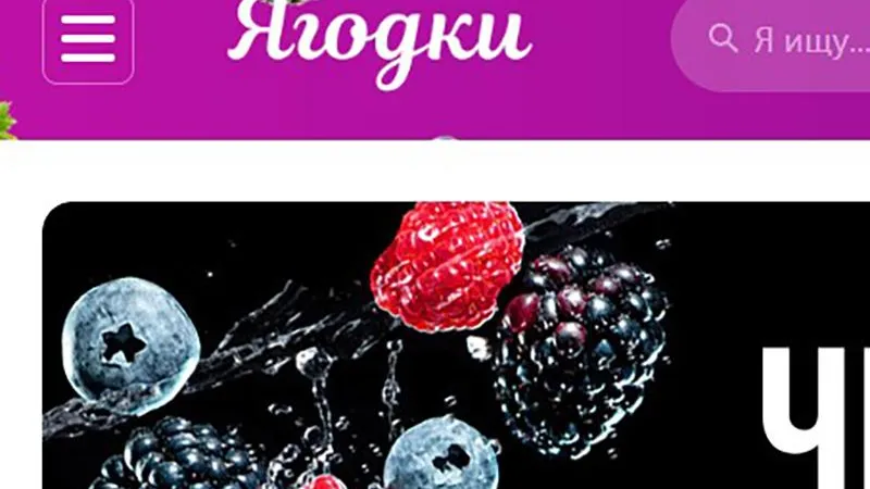 Название «Ягодки» может отпугнуть постоянных клиентов Wildberries, считают эксперты