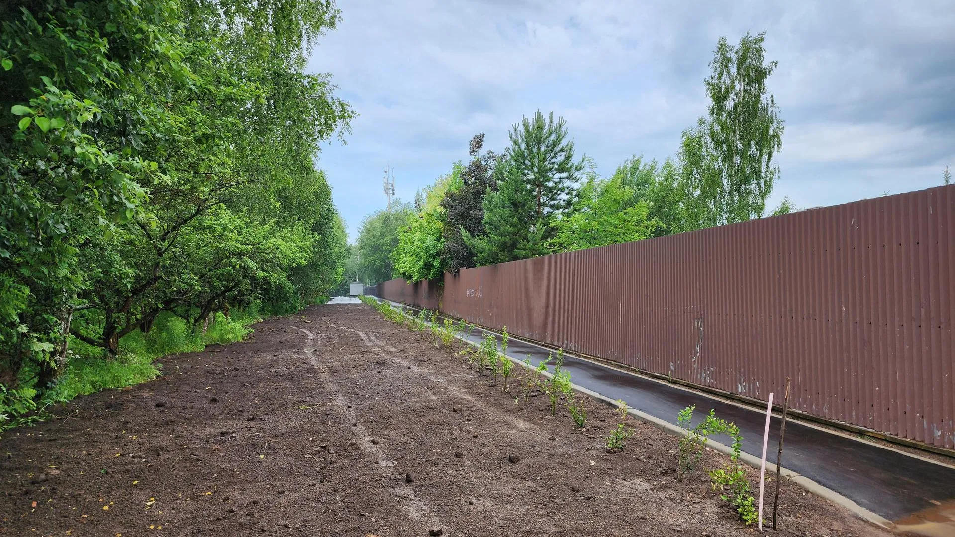 Фото: Мария Даньшина