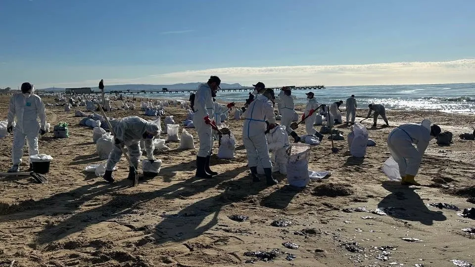 Фото: МедиаБанк Подмосковья/Екатерина Фирсанова