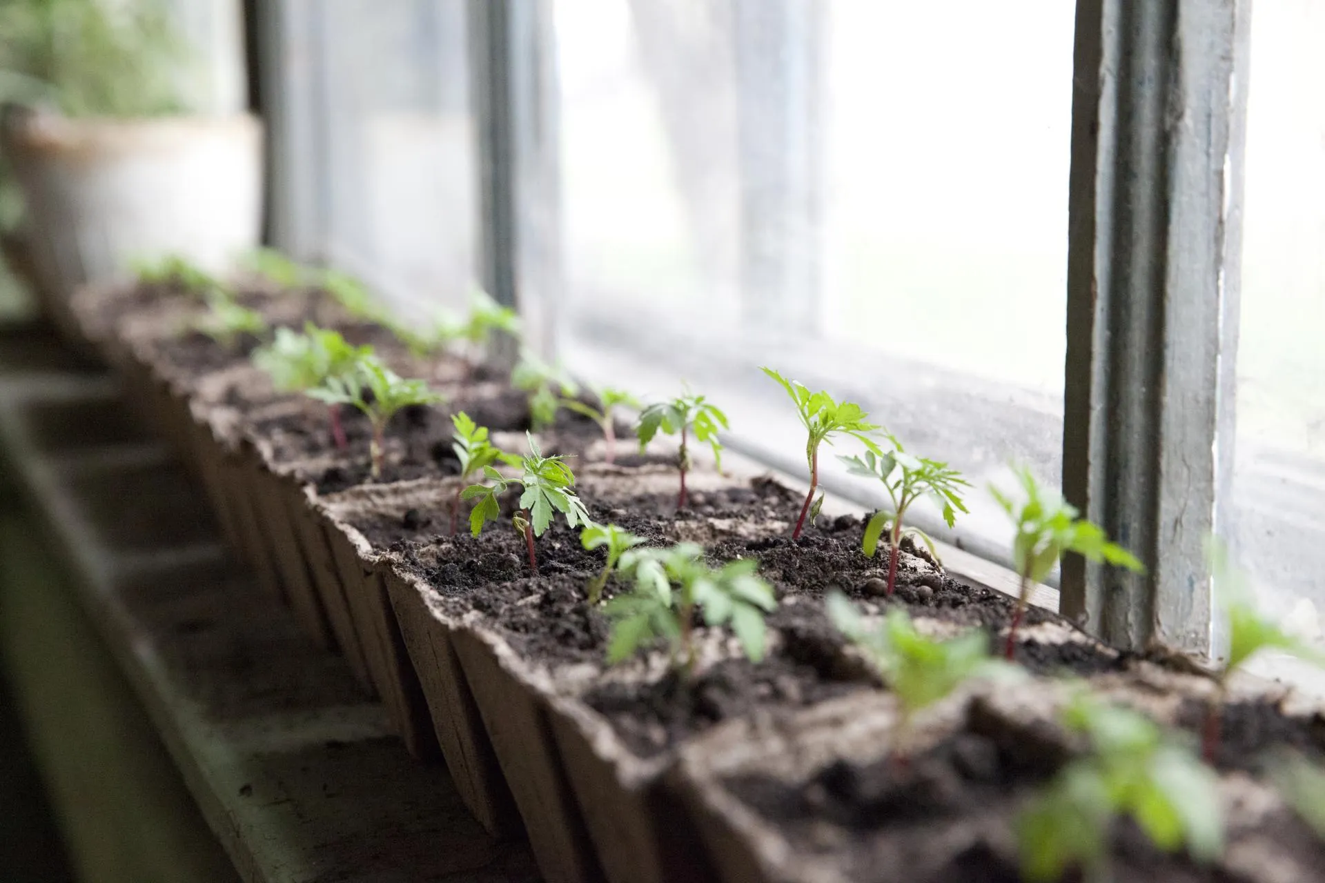 медиасток.рф