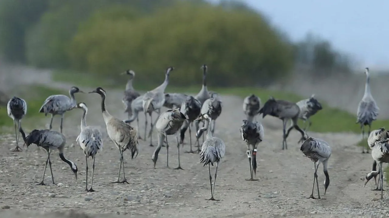 Фото: личный архив Артема Хованского
