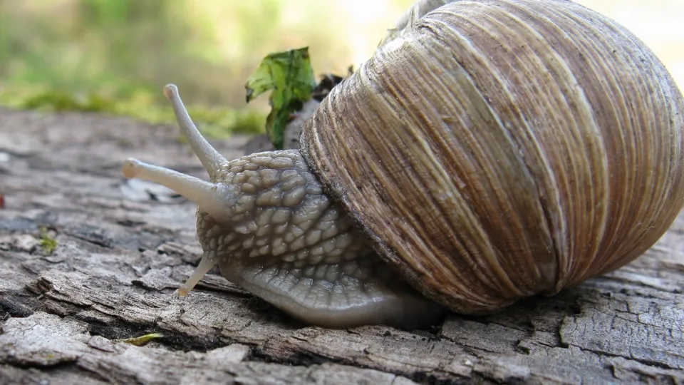 Фото: pxhere.com