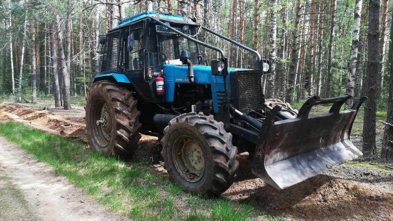 Фото: Комитет лесного хозяйства МО
