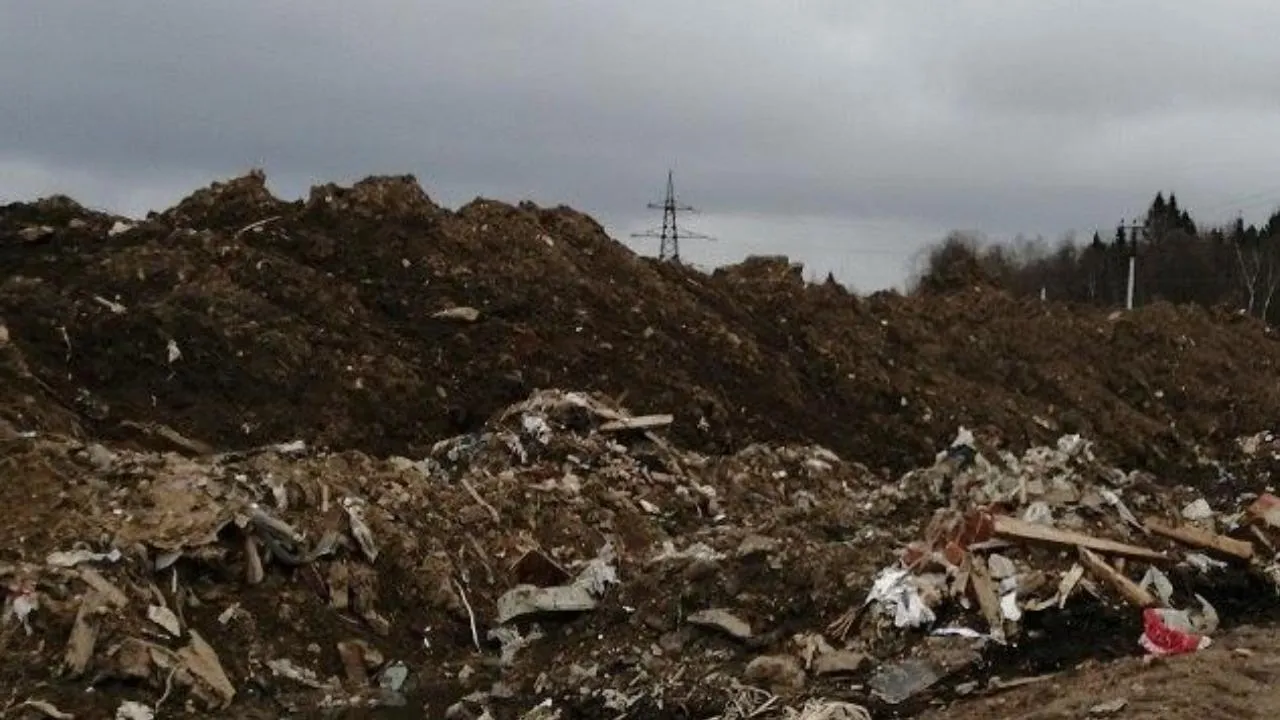 Незаконную свалку выявили в поселке Останкино в Дмитровском округе
