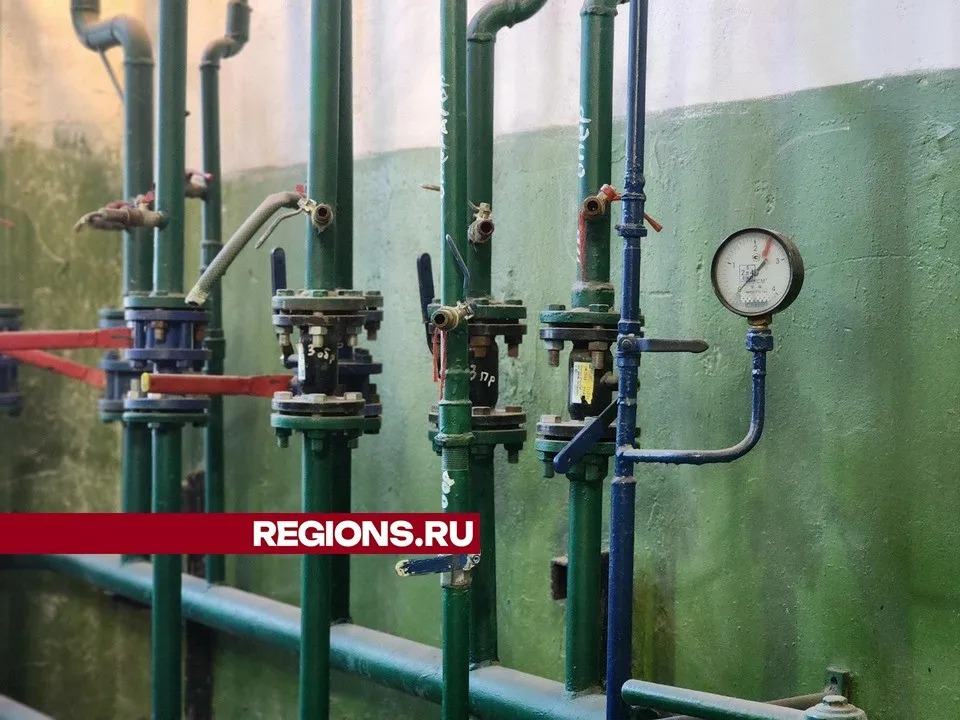 Фото: Светлана Плотникова