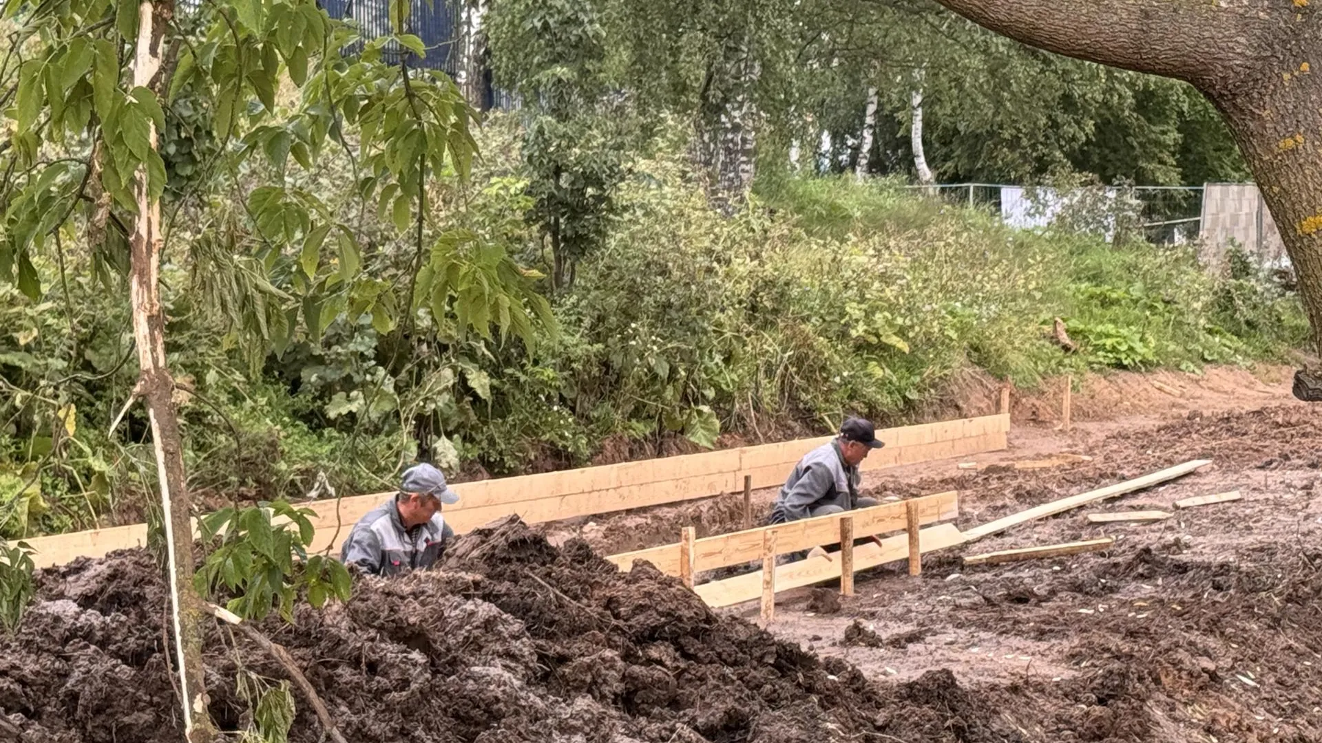 Фото: REGIONS/Мария Шматкова