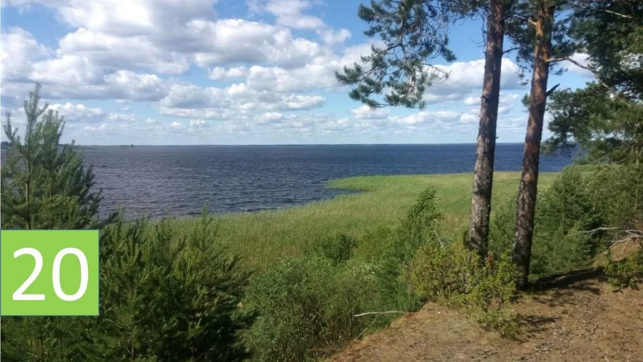 Фото: Комитет лесного хозяйства Московской области