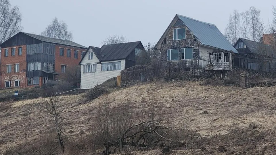 Фото: Хавива Фонина