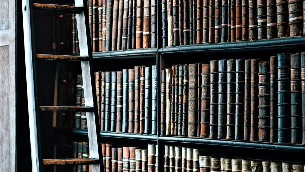 Фото: pxhere.com