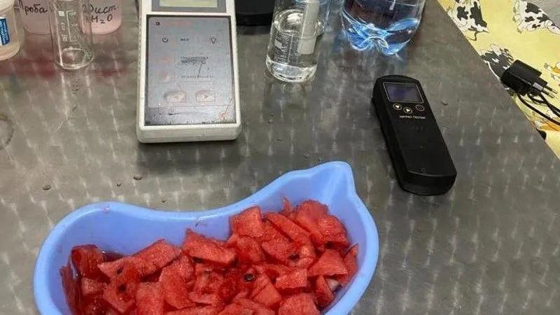 В Подмосковье тысячу тонн арбузов и дынь проверили на содержание нитратов