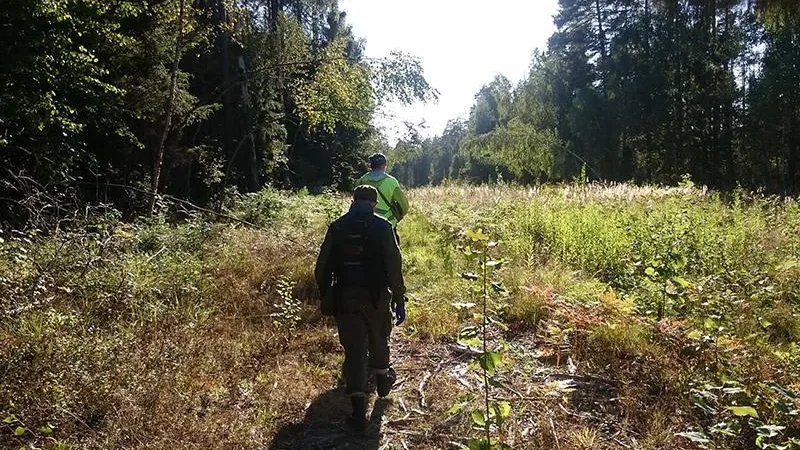 В лесу под Домодедово спасли дедушку, который застрял в болоте с садовой тачкой 