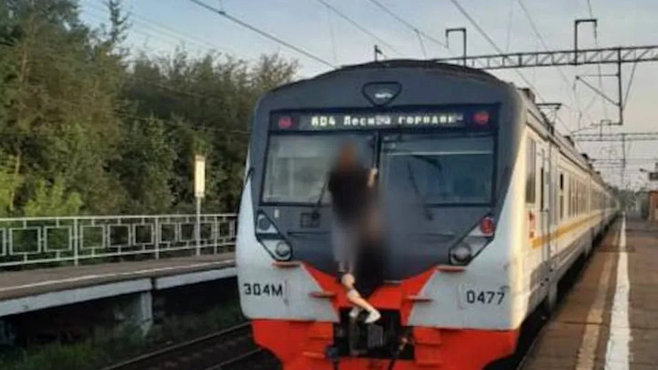 Фото: администрация Орехово-Зуевского г.о.