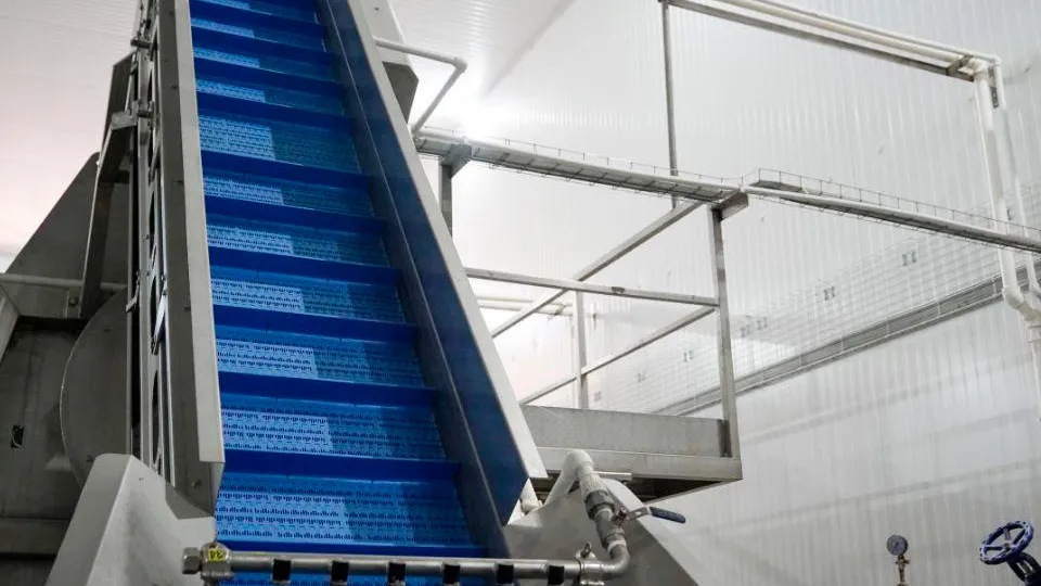 Фото: Анастасия Хренкова