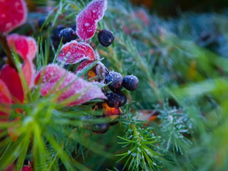 Фото: REGIONS/Владимир Ерастов