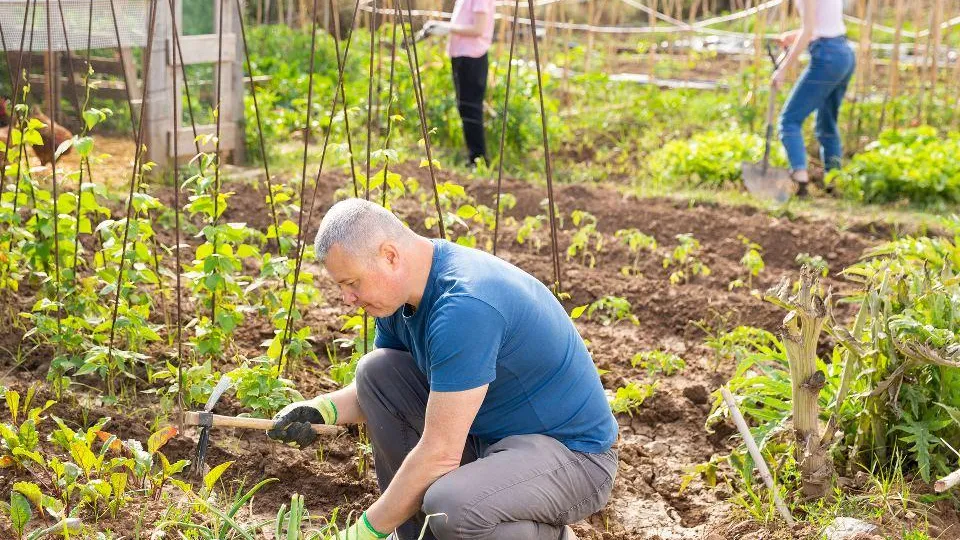 Фото: istockphoto.com/JackF