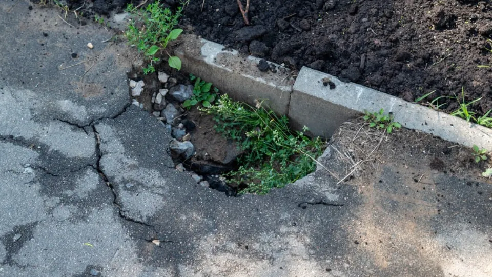 Фото: пресс-служба администрации г. о. Фрязино