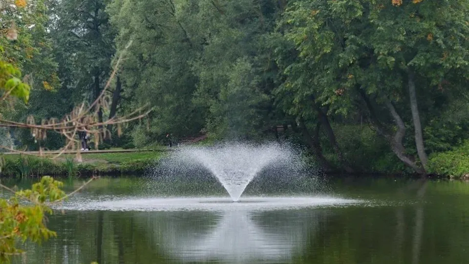 Фото: telegram/Парки городского округа Чехов