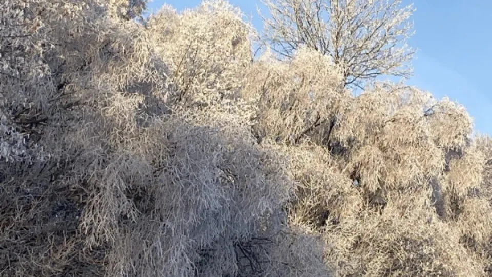 Фото: REGIONS/Дарина Левкина