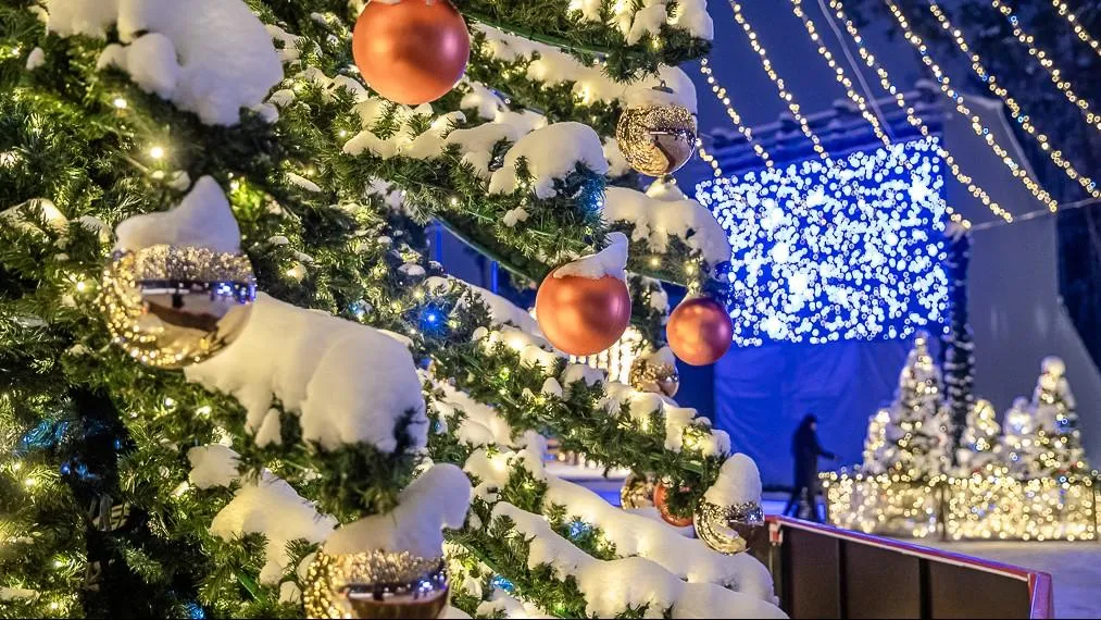 Пресс-служба Губернатора Московской области