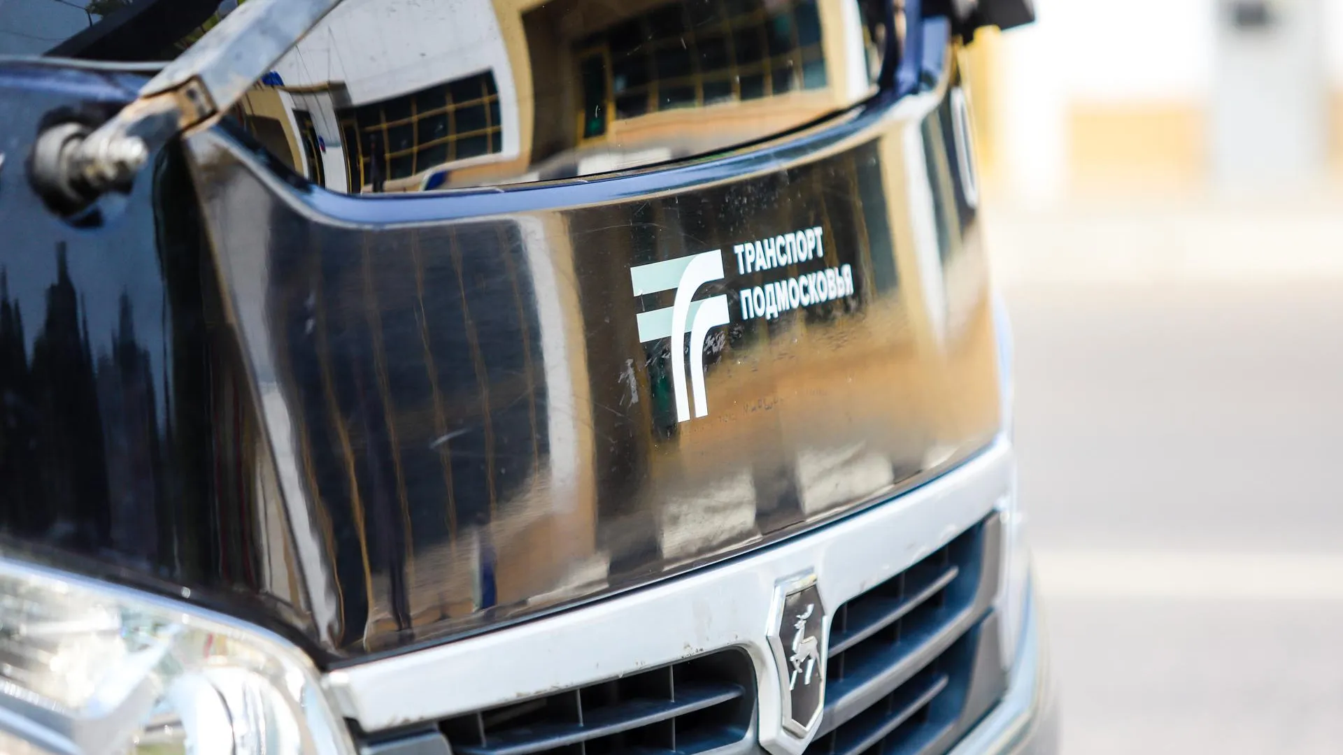 Виталий Ватулин