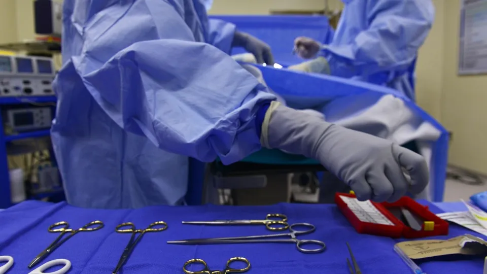 Фото: pxhere.com