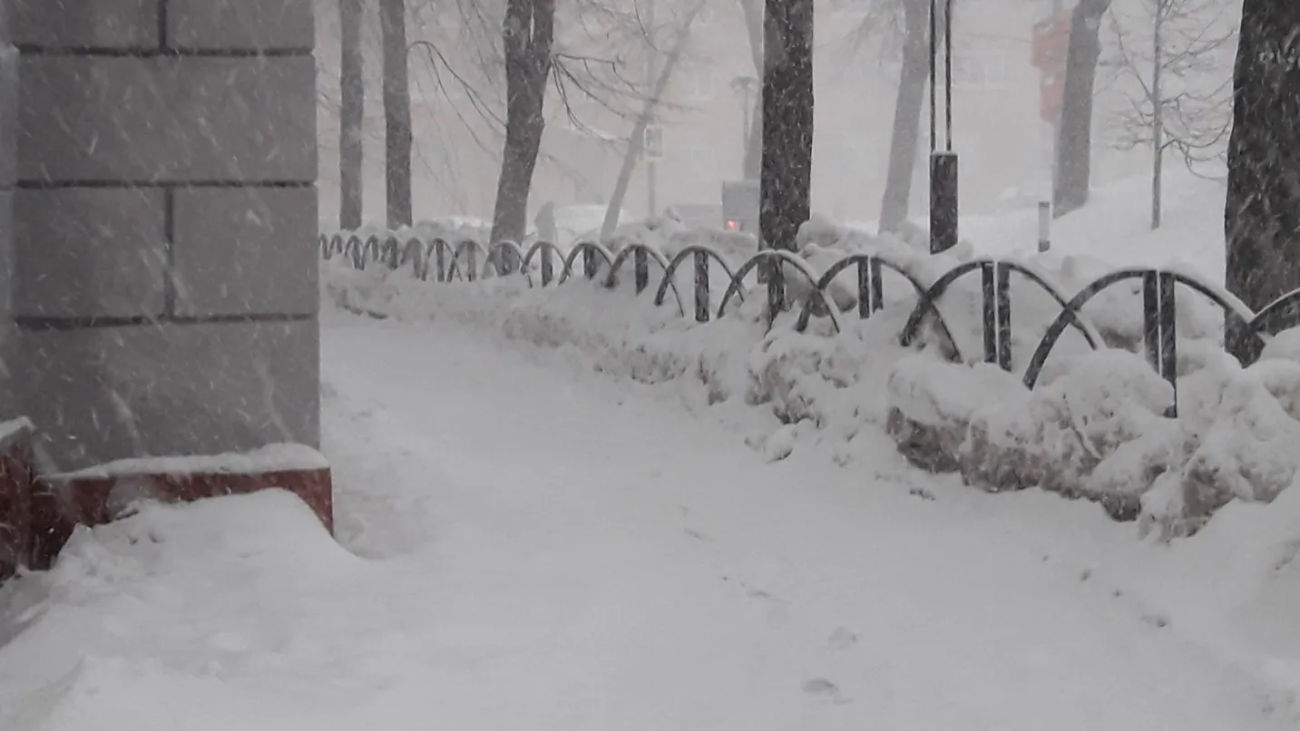 Фото:  управление культуры и туризма администрации г.о. Егорьевск