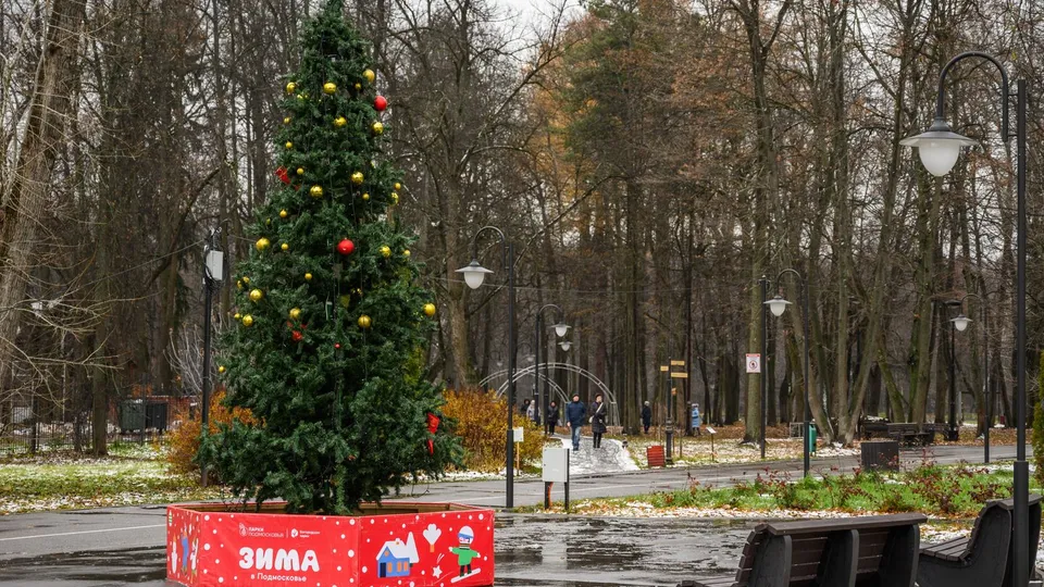 Фото: медиасток.рф