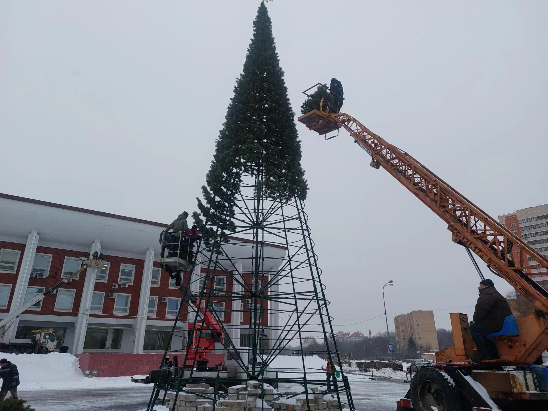 фото: Татьяна Афанасьева
