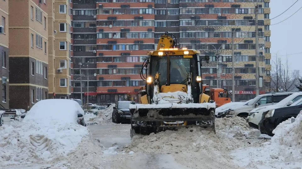 Фото: МедиаБанк Подмосковья/Валерия Тингаева