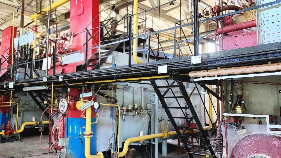 Фото: МедиаБанк Подмосковья/Наталия Надточая