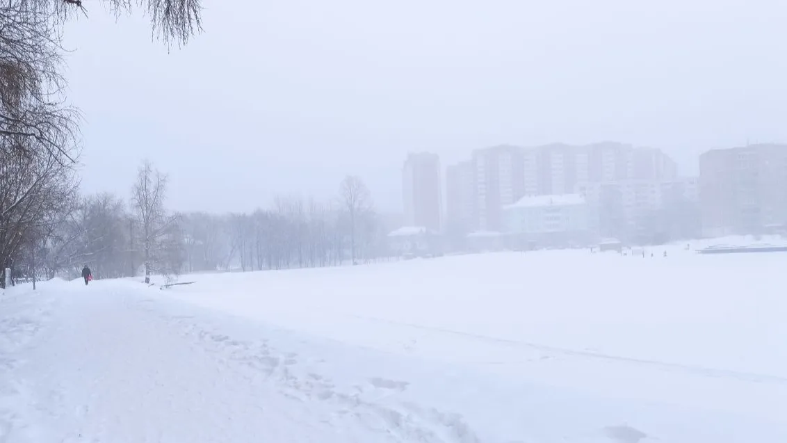 Фото: Ольга Пятикрестовская.