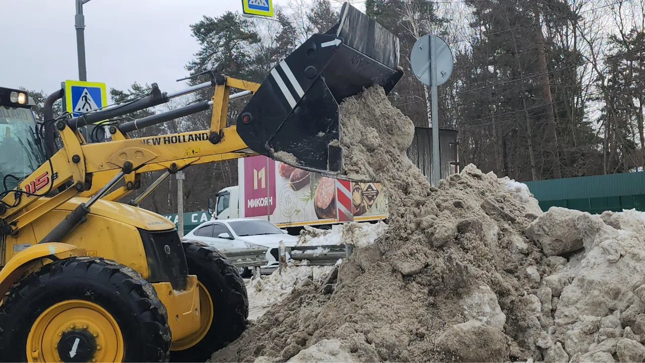 МедиаБанк Подмосковья/Наталья Лымарь
