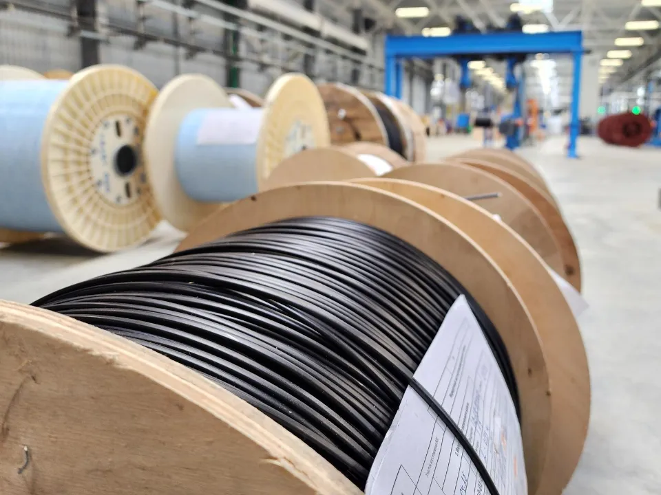 Фото: Светлана Плотникова