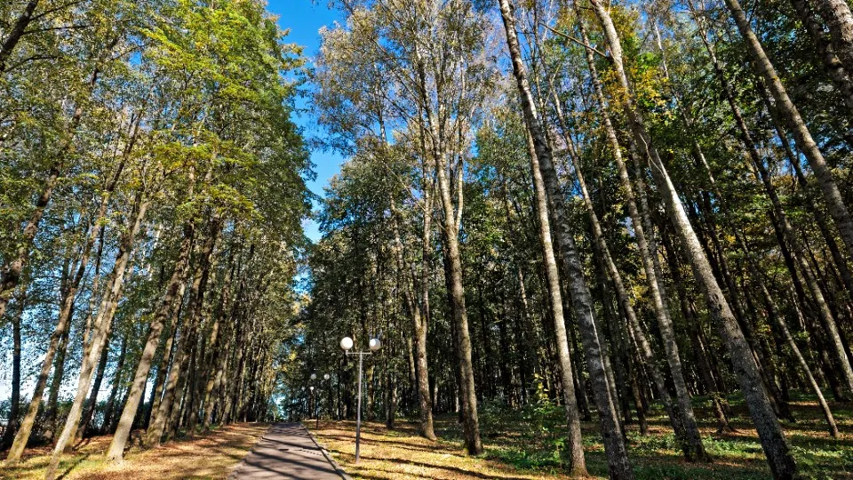 Фото: медиасток.рф