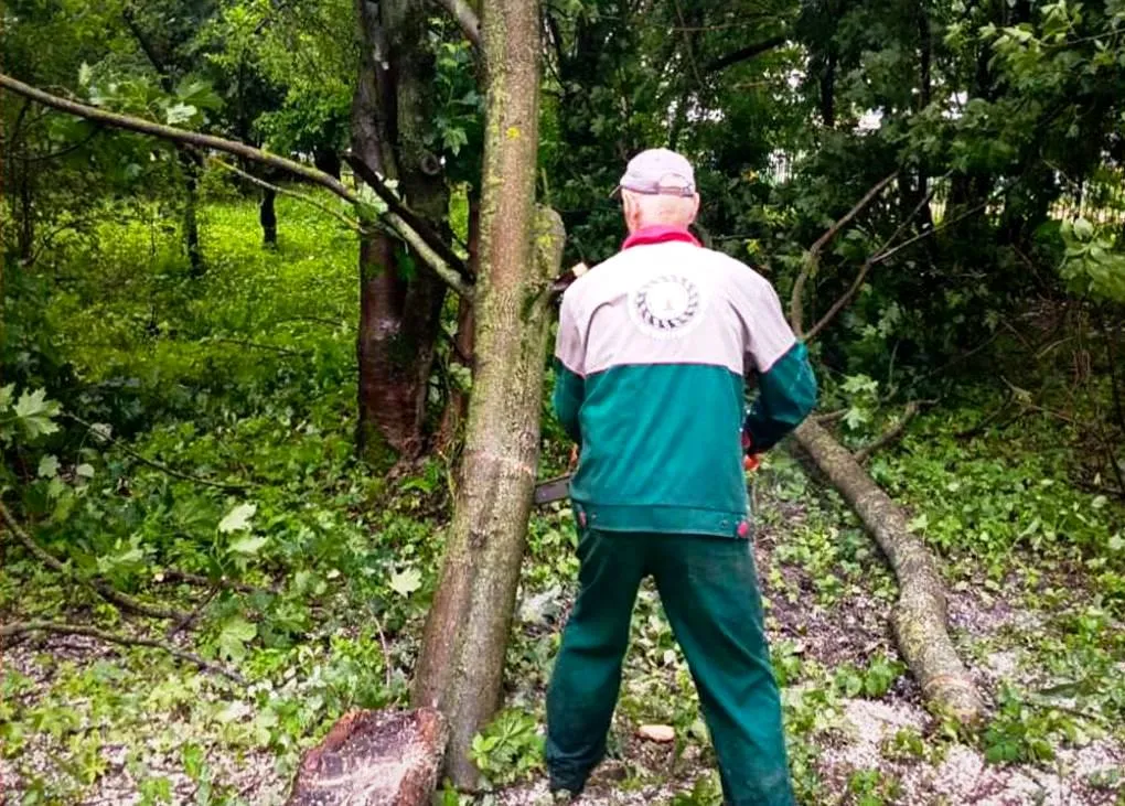 Фото: пресс-служба главы администрации г.о. Электросталь