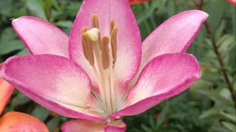 Фото: Министерство по содержанию территорий и государственному жилищному надзору МО