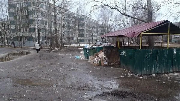 Более 30 нарушений чистоты выявили за неделю в Сергиевом Посаде