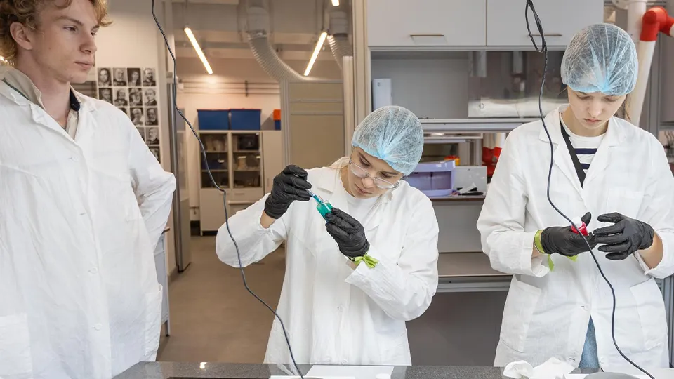 Фото: Министерство образования Московской области