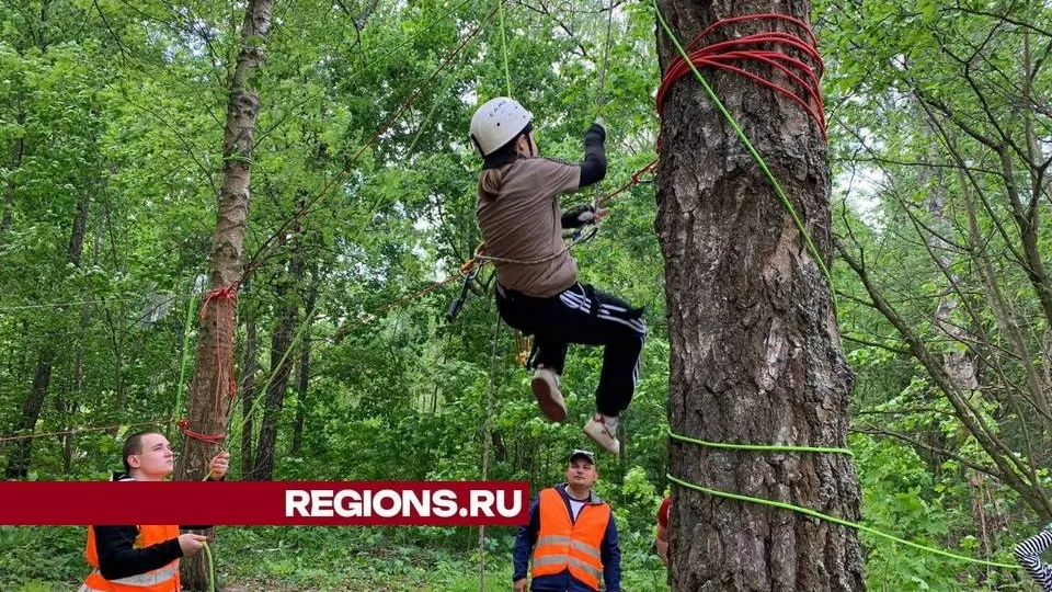Фото: пресс-служба администрации городского округа Луховицы